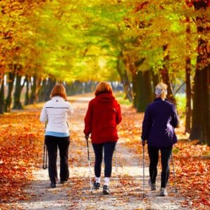 Abonnement saison automne