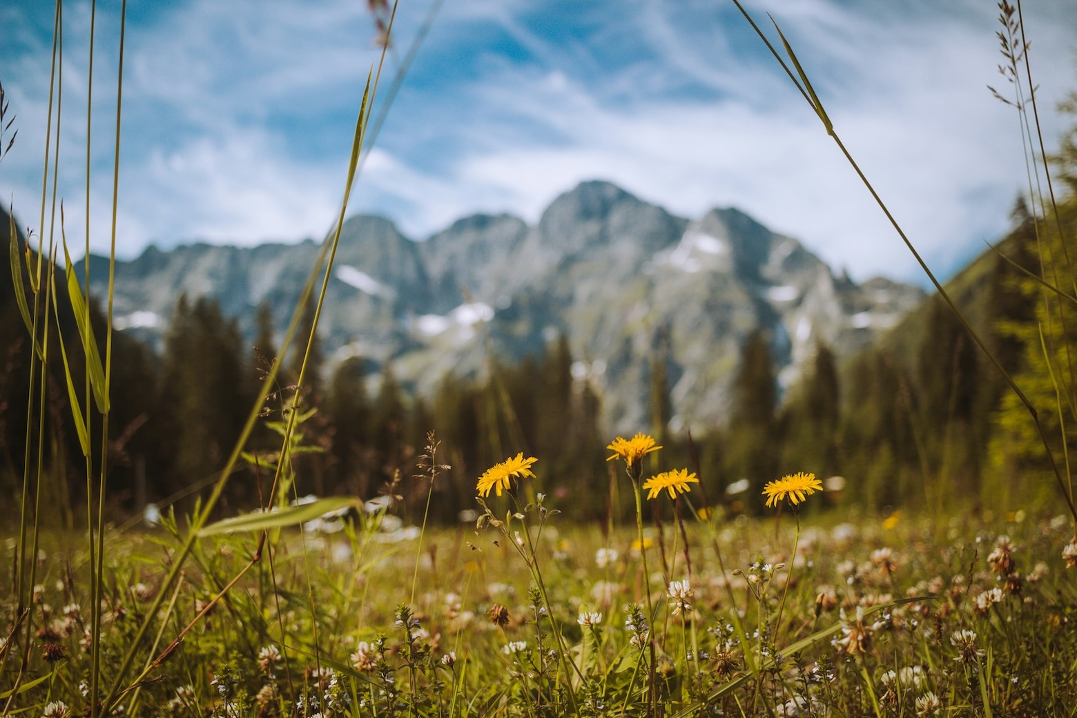 Atelier - Annecy Rando Nature