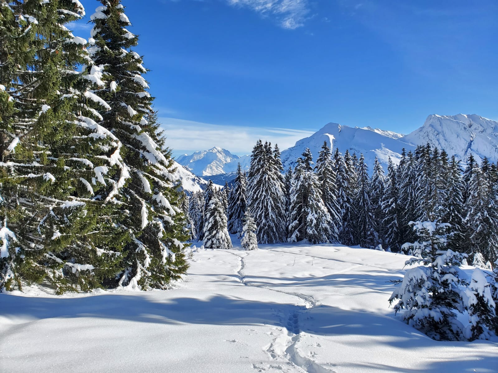 Raquettes à neige - Annecy Rando Nature