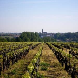 Rando des vendanges