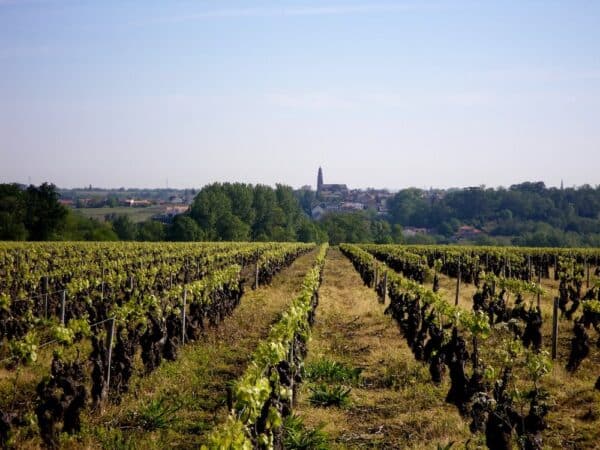 Rando des vendanges