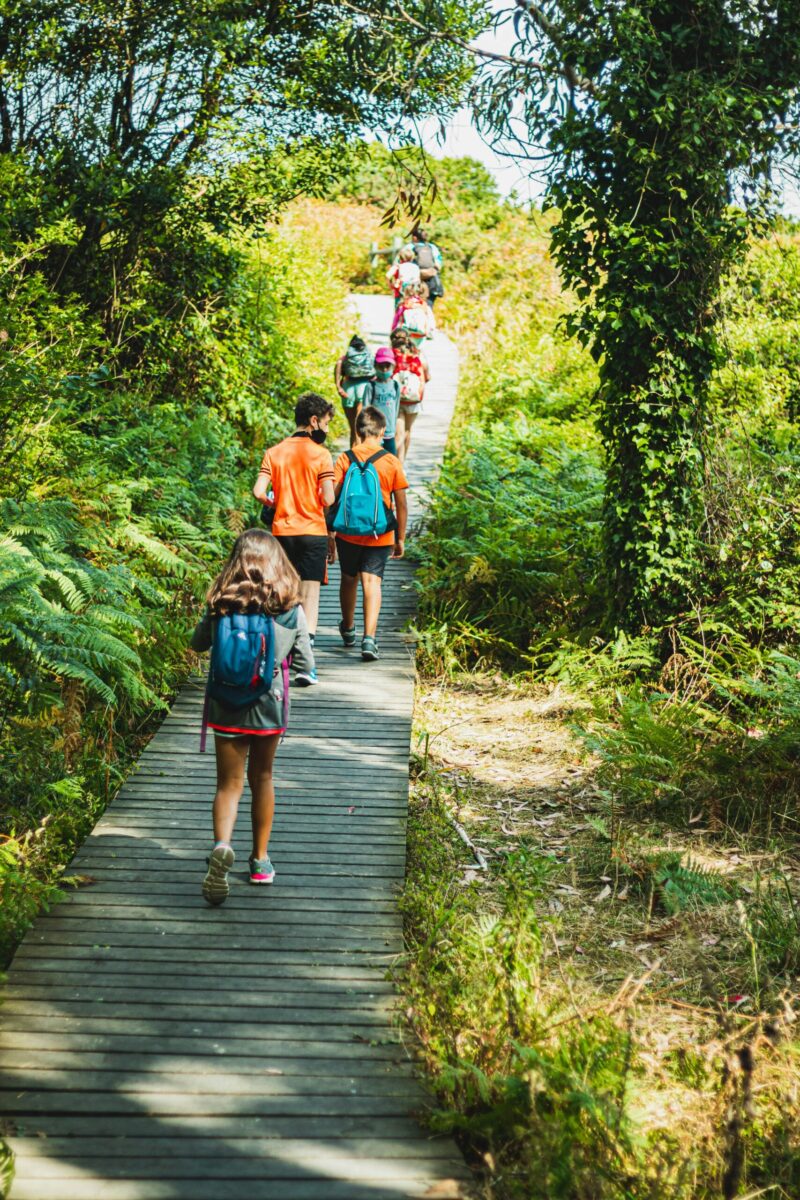 sorties scolaire et pédagogiques - randonnée - Annecy Rando Nature