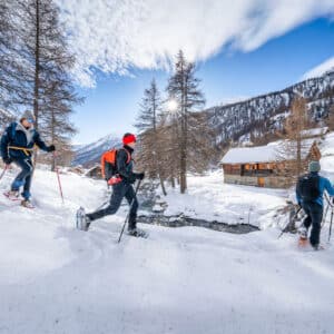 Raquettes confort dans vallon de Chavière