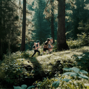 Stage - Les Robinsons