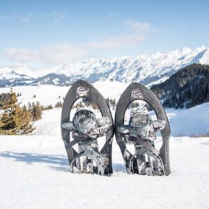 Le Plateau de Beauregard