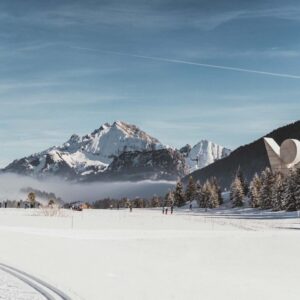 Plateau des Glières traces d'animaux en raquettes