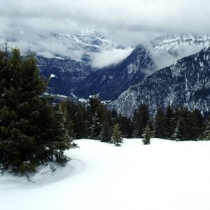 Crépon de Montoulivert