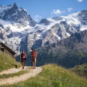 Face à la Meige 2ème édition