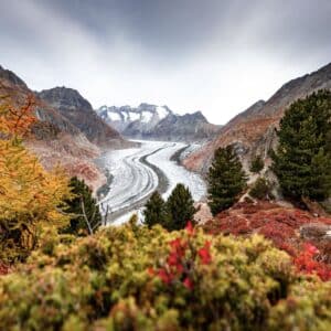 Couleurs d'automne du Glacier d'Aletsch au Simplon