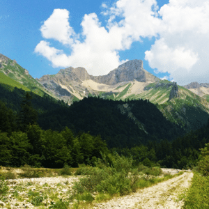 Haut Diois Ornithologie