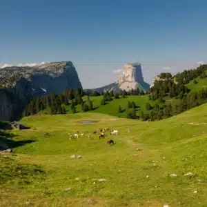Tour du mont Aiguille - Hauts plateaux du Vercors