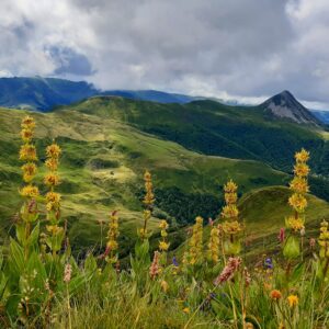 Monts du Cantal