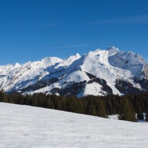 Beauregard par le pré à l'ours