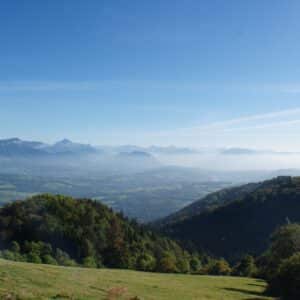 Plateau des Bornes - Rapaces diurnes