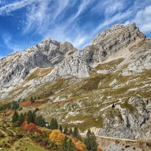 Gypaète au Col de la Colombière