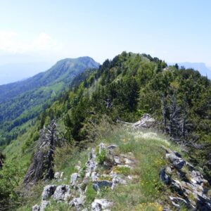 Le Mont de la Buffaz