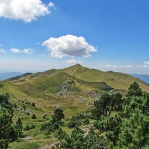 Le crêt de la Neige