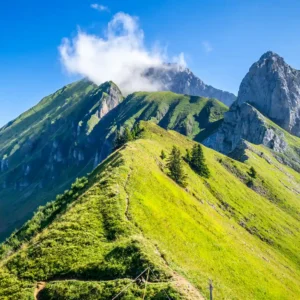 La Clusaz - Boucle de la Perrière - Recherche de fossiles