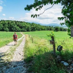 Les chemins d'Angely