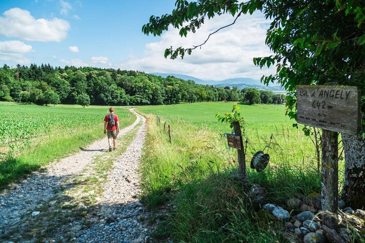 Les chemins d'Angelly